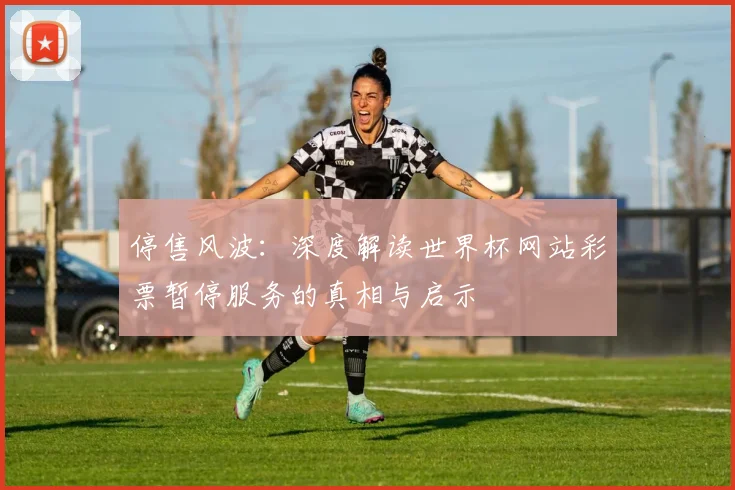 停售风波：深度解读世界杯网站彩票暂停服务的真相与启示