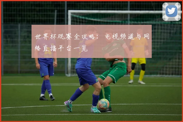 世界杯观赛全攻略：电视频道与网络直播平台一览
